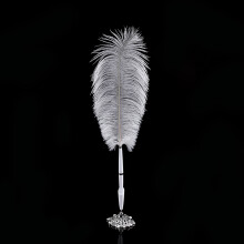 Ostrich Feather Quill for Wedding Signing