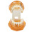 Educational Dental Teeth Model 1pc Orange Removable Use for Teaching and Study 3