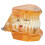 Educational Dental Teeth Model 1pc Orange Removable Use for Teaching and Study 8
