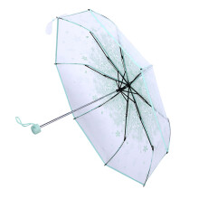 Light Green Transparent Umbrella Folding Cherry Blossom Pattern Small & Elegant