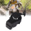 Black Pull Starter for Mini Bike 1