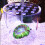 Transparente Acryl-Korallenkappe 100 13