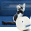 Kratzschutz Aufkleber Möbel Katze PVC 1
