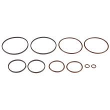 BMW Dual Vanos O Ring Seal Repair Kit for E36 E39 E46 E53 Black