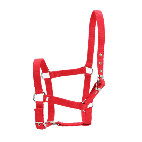 Red 6mm Thick Webbing Horse Bridle Halter Control and Training Accessory