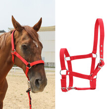 Durable 6mm Webbing Horse Halter Bridle