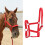 Durable 6mm Webbing Horse Halter Bridle 1