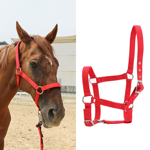 Durable 6mm Webbing Horse Halter Bridle