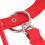 Durable 6mm Webbing Horse Halter Bridle 5