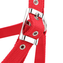 Red 6mm Thick Webbing Horse Bridle Halter Control and Training Accessory