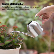 1000ml Stainless Steel Indoor Outdoor Watering Can with Long Spout for Plants