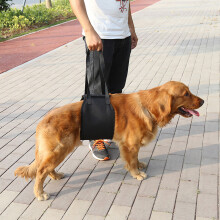 Black Dog Lift & Assist Support Rehabilitation Harness W/ Handle For Canines、Aid