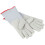 Lange Arbeitsschutzhandschuhe -250C 10