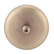 Stainless Steel Wall Mounted Clothesline Telescopic Bronze 304mm for Laundry