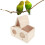 Pine Wood Bird Nest Box for Parrots 9