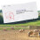 Pig Pregnancy Test Strips, 13cm, Easy & Accurate Detection 11