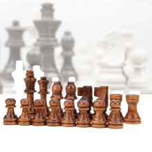 Traditional Wooden Chess Pieces Game