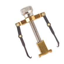 Professional Ingrown Toenail Corrector Tool for Paronychia, Gold