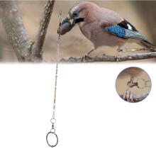 High-Quality Stainless Steel Parrot Anklet for Nymphicus hollandicus Foot Chain