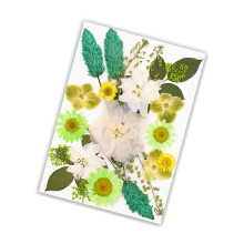 Natural Pressed Dried Flower Leaves Set for Resin Craft-C