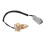 Reverse Light Switch for Airtex 8