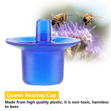 50 pcs Beekeeping Queen Rearing Cell Cups 19x16mm Blue Bee Equipment