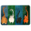 Eingangsmatte Katze 40x60cm Schmutzfang Teppich 3