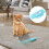 Mini Cat Interactive Toy Bug, Fast Moving, 4.5*1.5cm, Blue 1