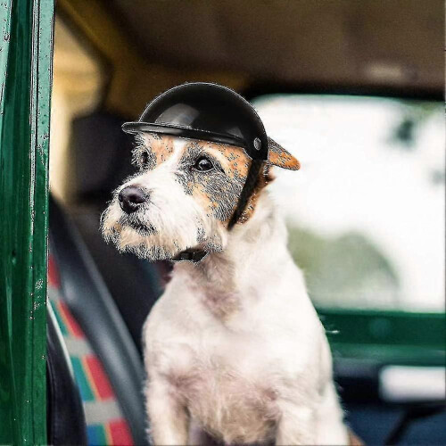 Σετ γυαλιών κράνους σκύλου Κράνος για κατοικίδια Γυαλιά ηλίου Σκύλοι Ρυθμιζόμενο 2