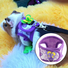 Small Pet Walking Harness Vest with Leash Red Grid+Purple Love (S) UK