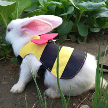 Adjustable Cartoon Bee Pet Harness with Pulling Rope for Cats, Rabbits & Small Dogs