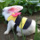 Bee-Shaped Pet Harness with Lead Rope 6