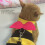 Bee-Shaped Pet Harness with Lead Rope 3