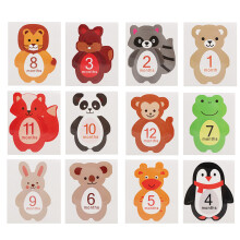 Newborn Monthly Milestone Stickers Set