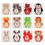 Baby's First Year Stickers 12pk 13