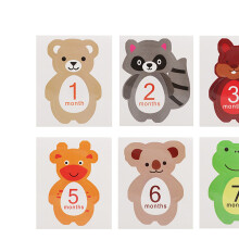 Monthly Baby Stickers 1-12 Months