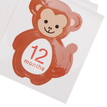 Newborn to 12 Month Sticker Set
