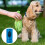 Travel Friendly Dog Waste Disposal Case Ergonomic Storage 4