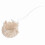 White Cotton Filters for Electric Siphon Pot 1
