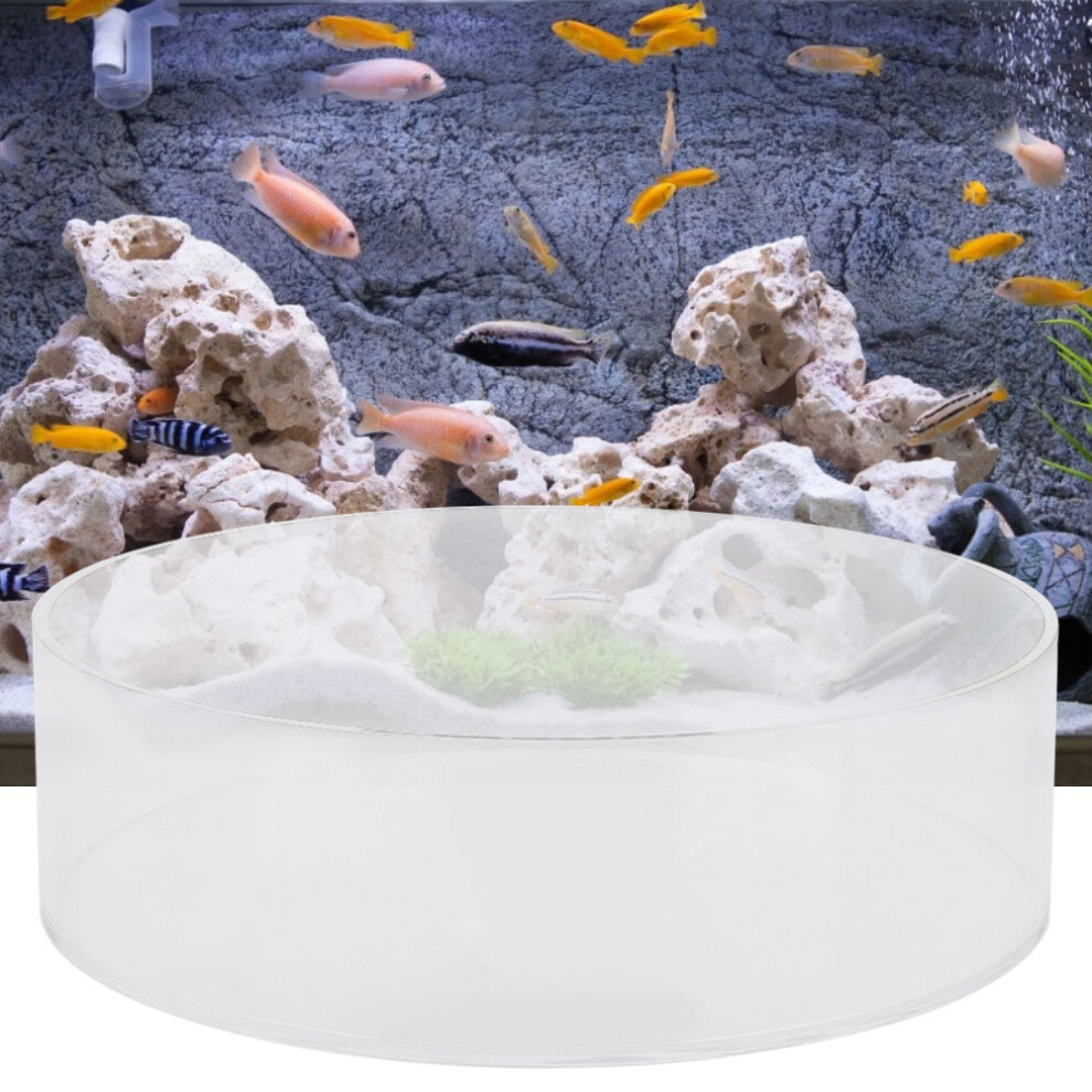 Coral Acrylic Observation Lens 200Mm - Fish Tank Aquarium Magnifier