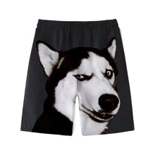 Casual Loose Unisex Quick Dry Beach Shorts For Sunbathing-2 XXL
