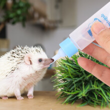 2PCS 30ML Hamster Nurser Bottle, Sky Blue, Small Pet Water & Milk Feeder