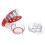 Cheery Cherries Pitter – 6 Fruit Capacity, Compact 19.5cm in Red 1