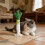Scallion Plush Stick Scallion Shape Cats Toy For Calming And 7