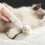 Advanced 4 Function Creature Coat pruner Quiet Design Safe-Blue 3
