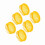 6 Pcs Queen Bee Rearing Box Cells Beekeeping Equipment, Durable ABS 3