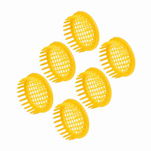 6 Pcs Queen Bee Rearing Box Cells Beekeeping Equipment, Durable ABS 2