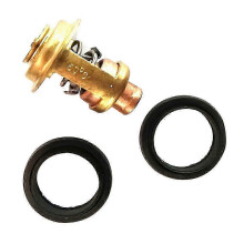 Johnson Evinrude Thermostat & Seal Kit