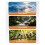 Mini Bluetooth Speaker with Nature Sounds, White Noise, Bone Conduction, Ultra-Thin, Timer 3