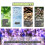 Ximonth Tinnitus Relief Spray - Clears Earwax & Stops Ringing 5